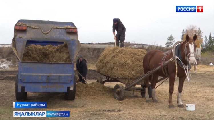 Ун ел элек башланган эш