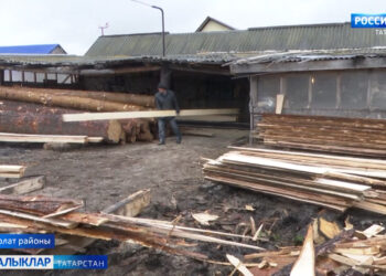 Фәрит һәм Җәмилә Гыйльметдиновлар теләк булганда авылда эшләргә булуны үз мисалларында раслыйлар