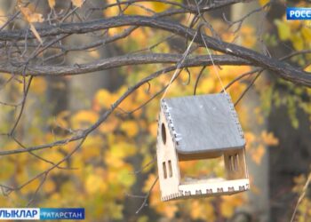 Бүген һава температурасы +4 һәм +7 градус җылы