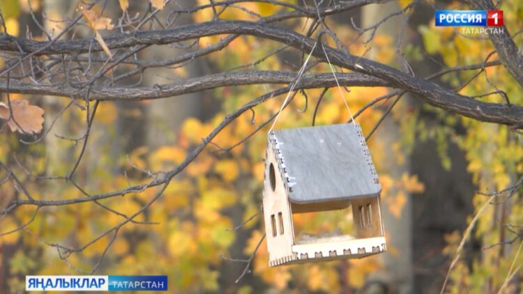 Бүген һава температурасы +4 һәм +7 градус җылы