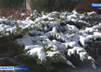 Бүген 21нче ноябрьдә аязучан болытлы һава, урыны белән кар явуы ихтимал