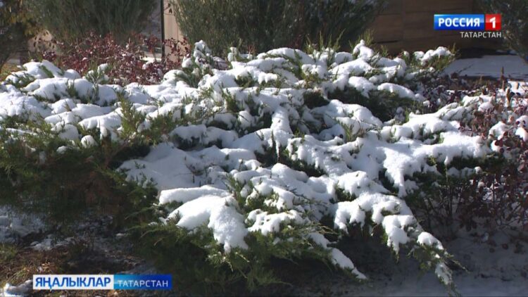 Бүген 21нче ноябрьдә аязучан болытлы һава, урыны белән кар явуы ихтимал