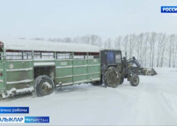 «Чишмә”нең сөт елгасы