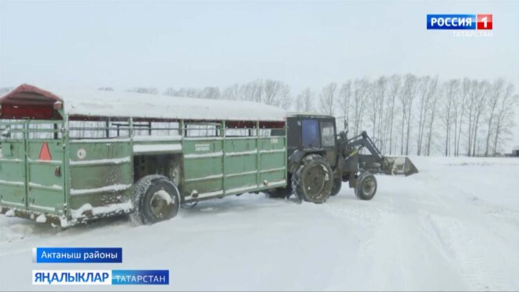 «Чишмә”нең сөт елгасы