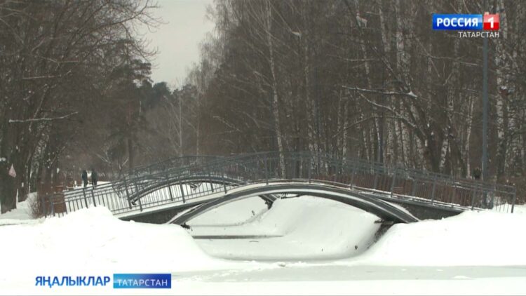 Өй туйлары гөрли