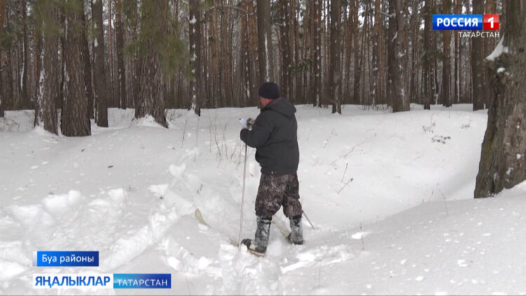 Ничә бүре бар икән?