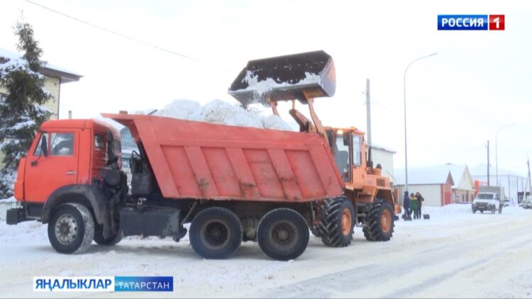 Карлар яуса, көримен