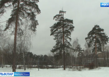 Карлар яуса көримен