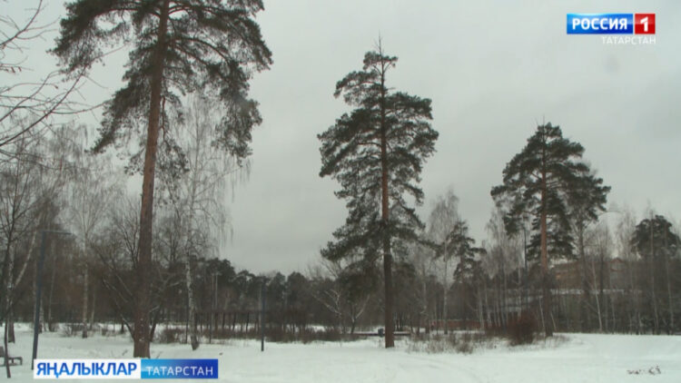 Карлар яуса көримен