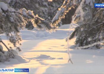 Гыйнвар — елның иң салкын һәм җилле ае булып санала