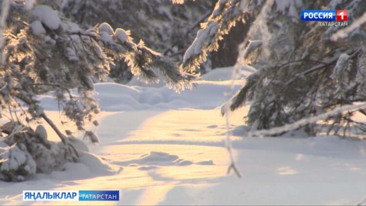 Гыйнвар — елның иң салкын һәм җилле ае булып санала