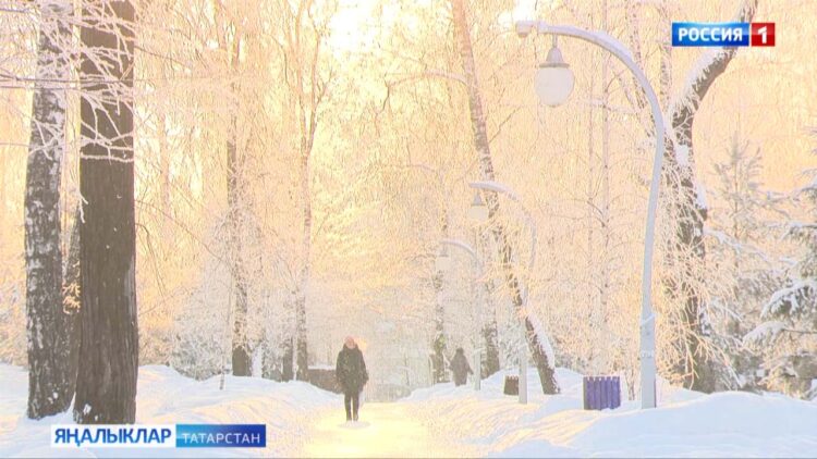 Республикада алдагы көннәрдә суыклар саклана