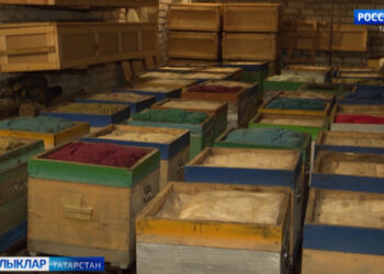 Бал кортлары кышын нишли?