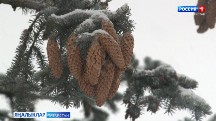 Атна ахырына кадәр Төньяк Атлантика циклоны рекордлы кар яудырачак