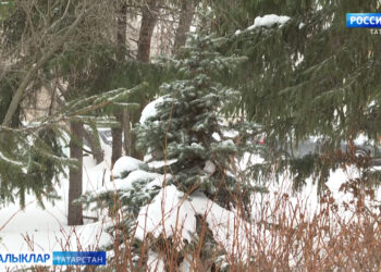 Күп явым-төшемнәргә кискен суыту да өстәлә