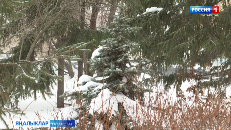 Күп явым-төшемнәргә кискен суыту да өстәлә