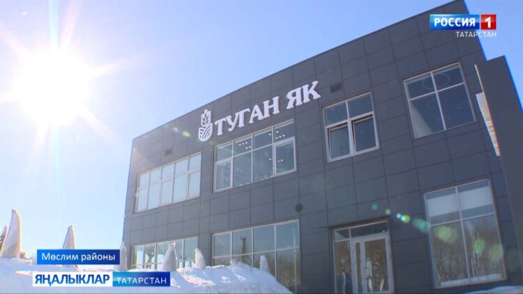 Кырлар дәшә