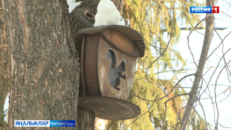 Кыш белән яз тартыша