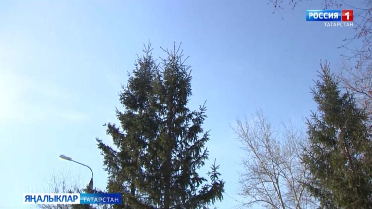 21 нче март яз фасылының көн белән төн тигезләшкән көне