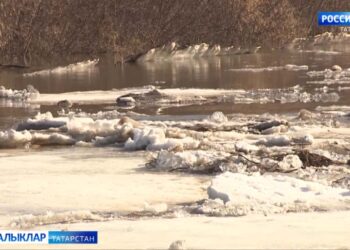 Республикада 6 күперне һәм 3 автомобиль юлы участогын су баскан