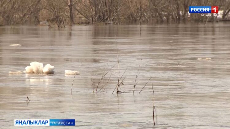 Бозга ышанма!