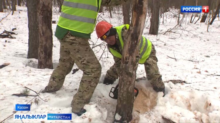 2024 ел башыннан экология министрлыгына Казанда атмосфера һавасының сыйфатына кагылышлы 152 шикаять килгән