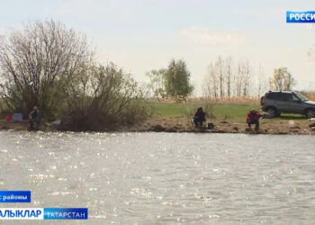 Татарстанда «Уылдык чәчү» операциясе башланды