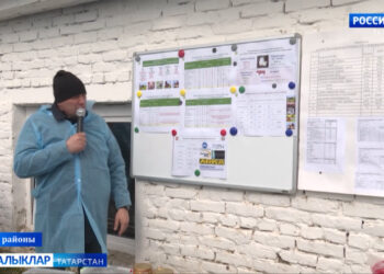 «Авыл сулышы» сәхифәсе