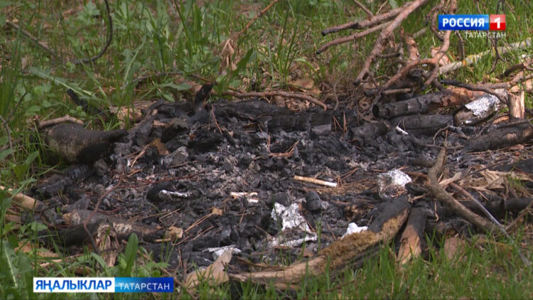 Татарстанда бүген 28 градуска кадәр җылы көтелә