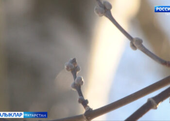 Бу атнада синоптиклар, җәйге җылылык көтелми дип фаразлый