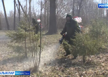 Иртәләгән яз сезонлы куркынычларны да тизләтте