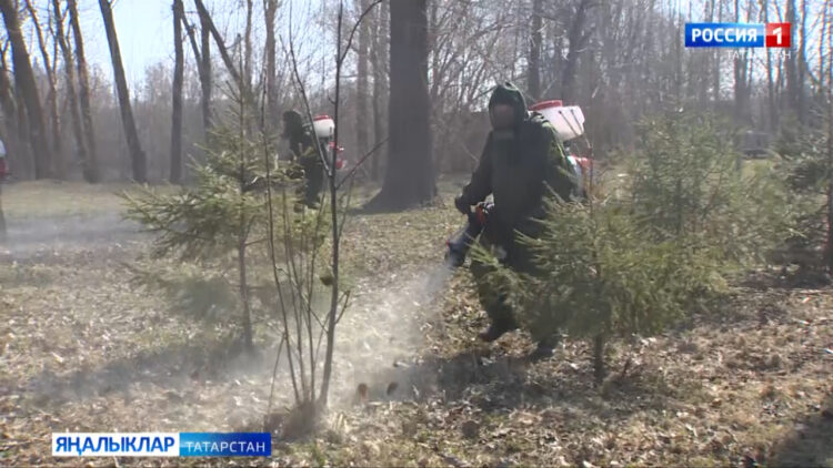 Иртәләгән яз сезонлы куркынычларны да тизләтте