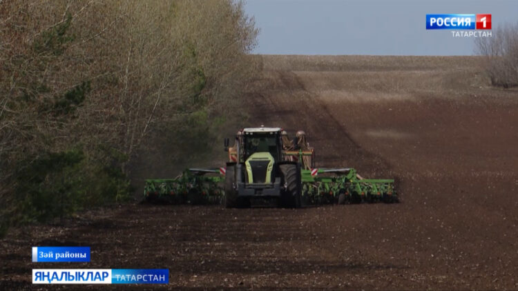 Дым барында…