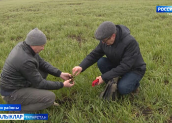 «Авыл сулышы» сәхифәсе