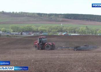 Язгы хезмәт – көзге хөрмәт