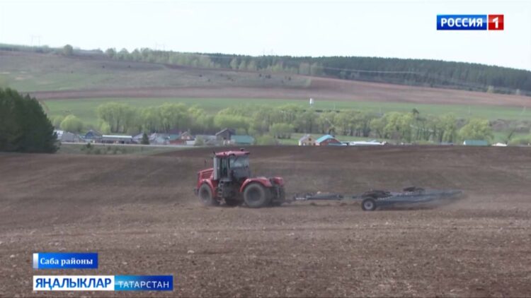 Язгы хезмәт – көзге хөрмәт