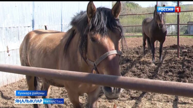 Атлар чаба туган ягымда…