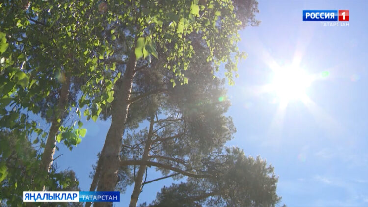 Татарстанда 25 градуска кадәр эссе һава торышы саклана