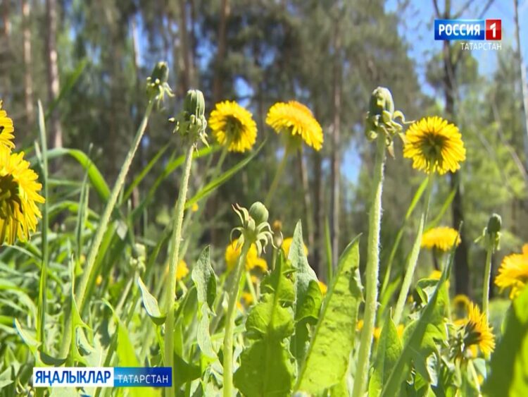 28 июньгә һава торышы