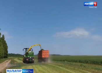 Республикабыз басуларында көн дә кызу эш кайный