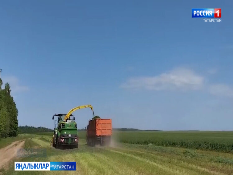 Республикабыз басуларында көн дә кызу эш кайный