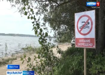 Республикада су коену өчен тыелган урыннарда рейдлар