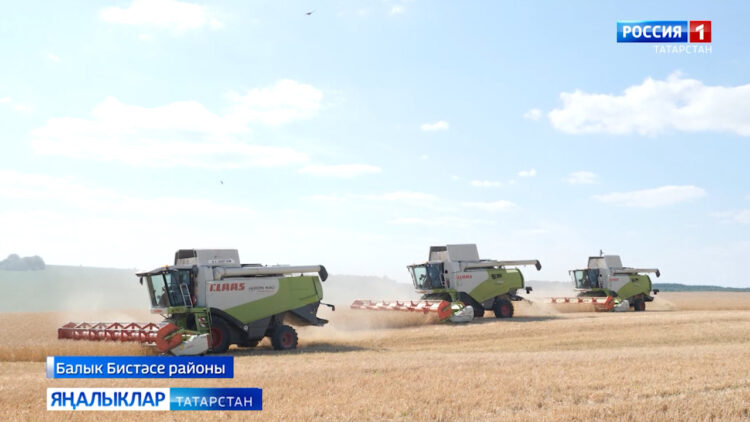 «Авыл сулышы» сәхифәсе (25.07.24)