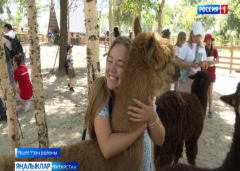 Зөя утрау-шәһәренә юл уңаеннан парк-альпакка илтүче яңа туристик сукмак барлыкка килде