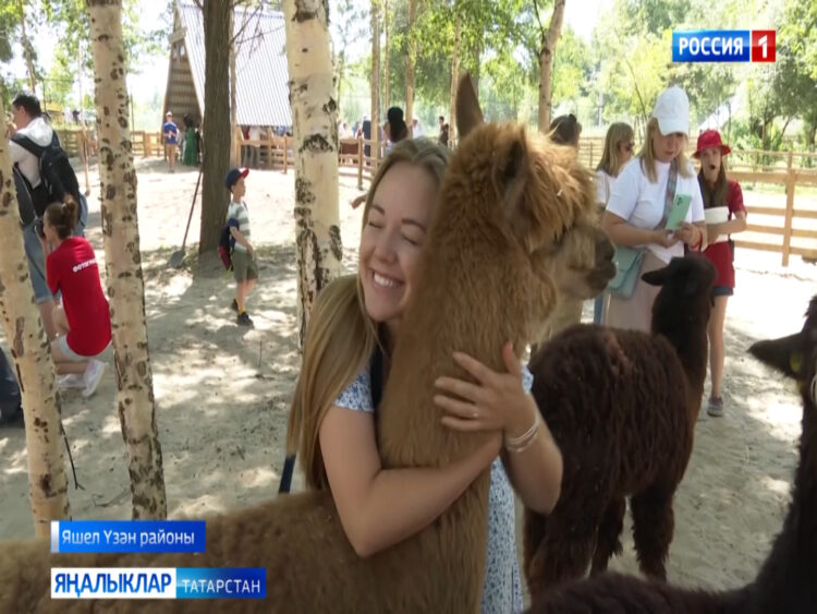 Зөя утрау-шәһәренә юл уңаеннан парк-альпакка илтүче яңа туристик сукмак барлыкка килде