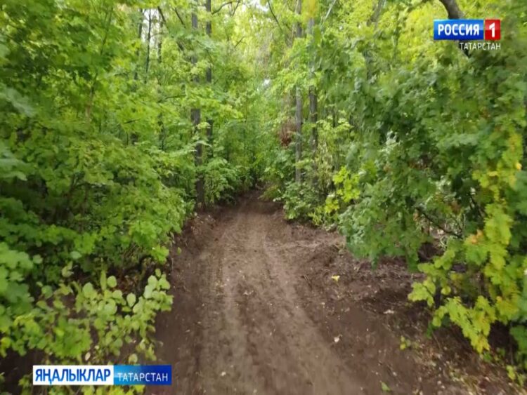 Республикада шторм кисәтүе игълан ителде, урманнарда янгын куркынычы зур