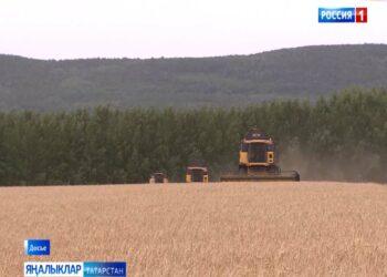 Казанда “Агроволга” халыкара күргәзмәсе ачылды