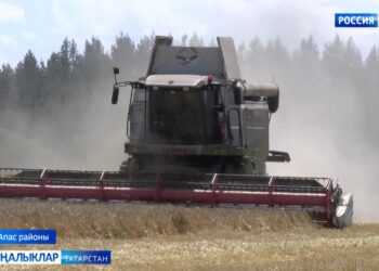 Апас районы, Әлмәндәр берләшмәсе Күккүз бүлекчәсе кырларыннан эш барышы.