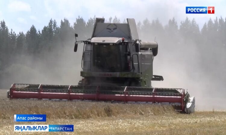 Апас районы, Әлмәндәр берләшмәсе Күккүз бүлекчәсе кырларыннан эш барышы.