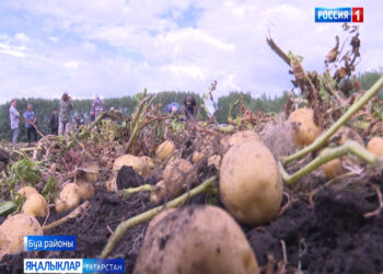 «Авыл сулышы» сәхифәсе